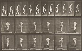 EADWEARD MUYBRIDGE (1830-1904) A selection of 4 plates from the pioneering motion study series Animal Locomotion.